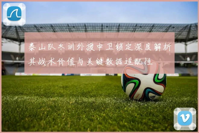 泰山队冬训外援中卫锁定深度解析其战术价值与关键数据适配性